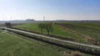 Fläche 1