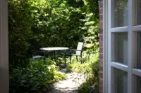Blick in den Garten