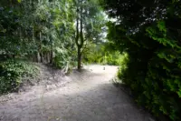 Gartenbereich - Zufahrt