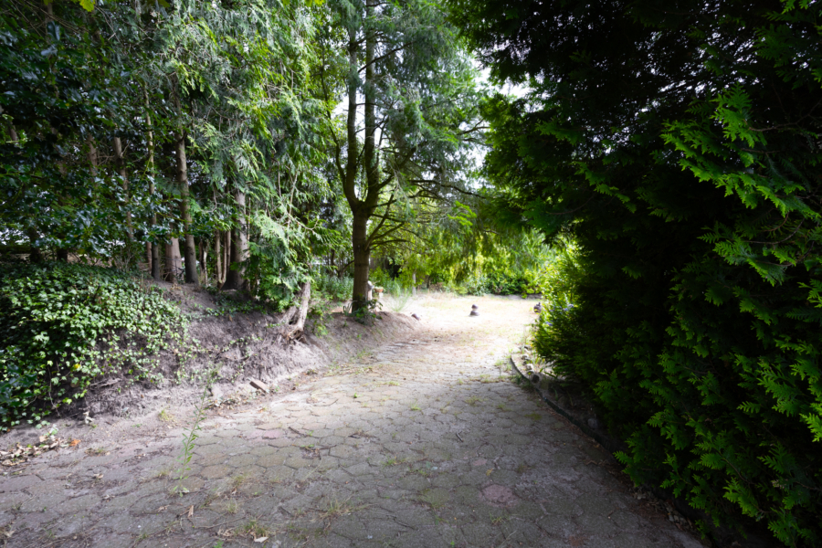 Gartenbereich - Zufahrt